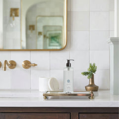 Geneva Guild Liquid Hand Soap Refillable Bottle (12.84 Fluid Ounce) - 18Pack