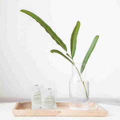 Geneva Guild Vegetable Soap (Net Wt. 0.70 Ounces) - 250Pack