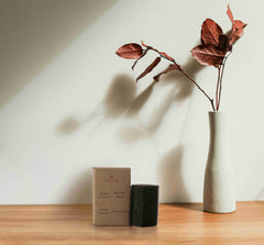 Prija Shoe Shine Sponge - 1000Pack