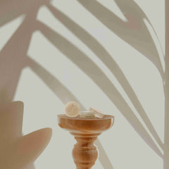 Prija Lip Balm (0.18 oz) - 500Pack