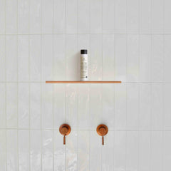 Prija Protective Conditioner (3.38 Fluid Ounce) - 55Pack