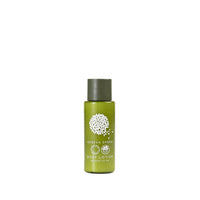 Geneva Green Body Lotion (1.01 Fluid Ounce) - 300Pack