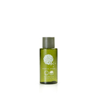 Geneva Green Shampoo (1.35 Fluid Ounce) - 216Pack