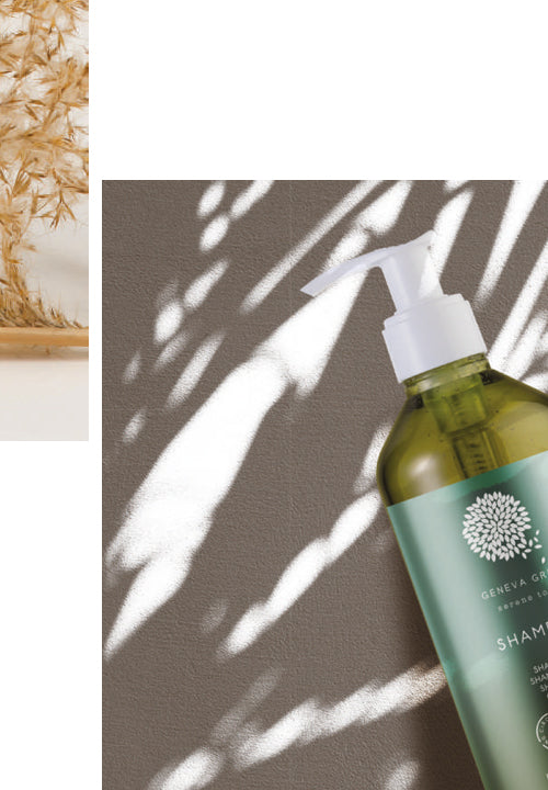 Geneva Green is unique in its circular design approach. Bottles are made with 100% post-consumer recycled plastic r-PET. This means zero waste to landfill! GFL Green Amenities. Geneva Green Shampoo